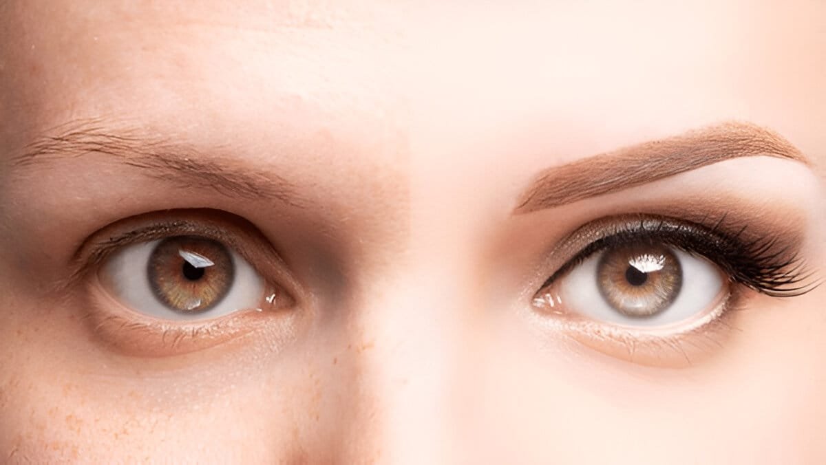 A carefully shaped feminine eyebrow arch