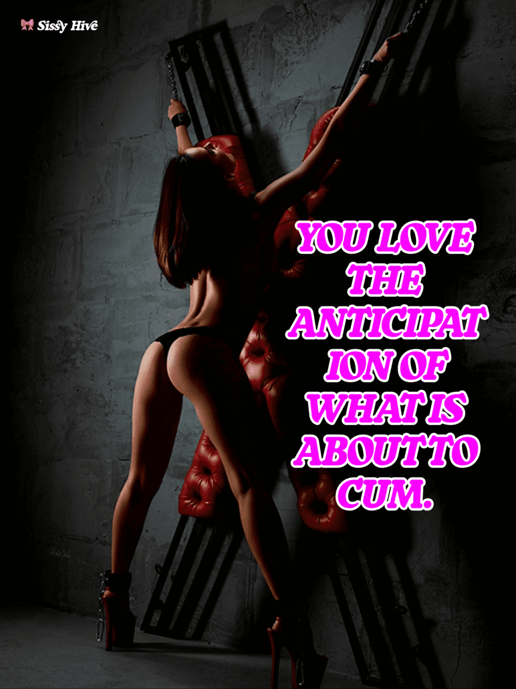 Sissy Bondage Caption