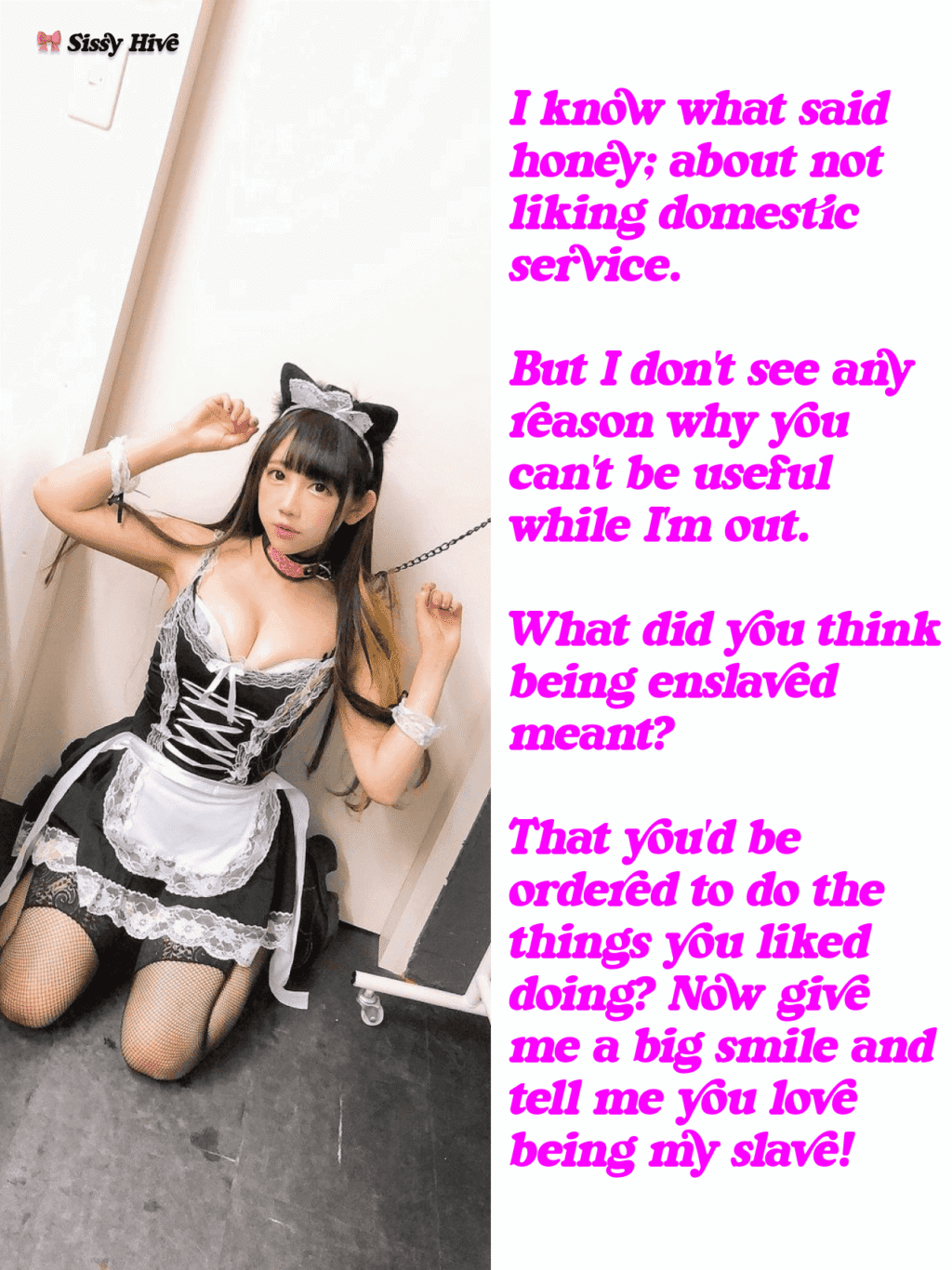 Sissy Maid Captions 14